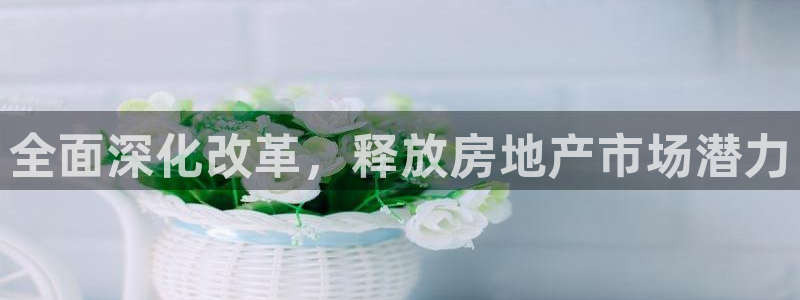 新宝5软件下载：全面深化改革，释放房地产市场潜力