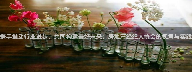 新宝5官方网站：携手推动行业进步，共同构建美好未来：房地产经
