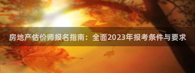 新宝5天：房地产估价师报名指南：全面2023年报考条件与要求