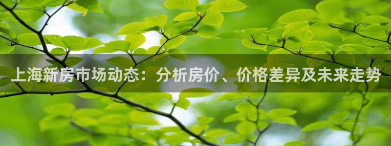 新宝5娱乐都：上海新房市场动态：分析房价、价格差异及未来走势