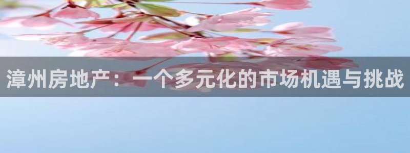 老新宝5授权登录：漳州房地产：一个多元化的市场机遇与挑战