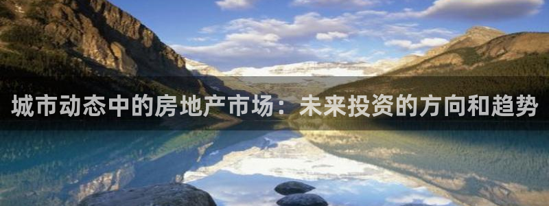 新宝测速5：城市动态中的房地产市场：未来投资的方向和趋势