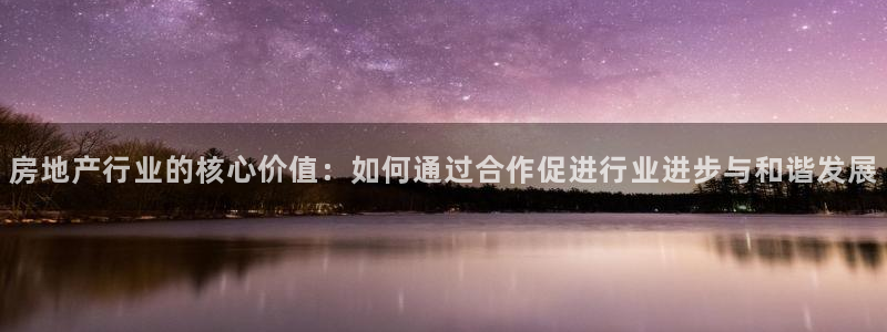新宝5侹刔：房地产行业的核心价值：如何通过合作促进行业进步与