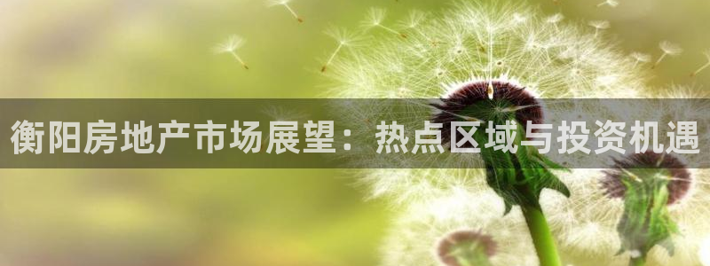 新宝5后：衡阳房地产市场展望：热点区域与投资机遇