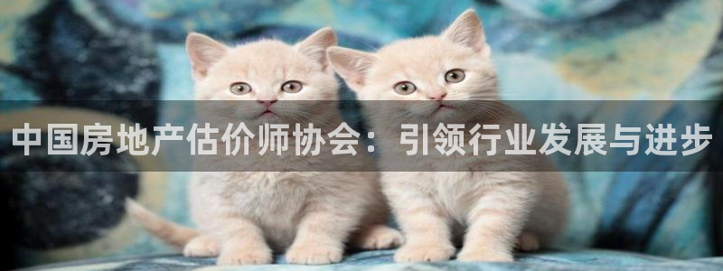 新宝5测速在线：中国房地产估价师协会：引领行业发展与进步