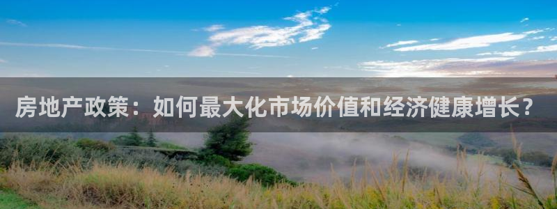新宝5娱乐注：房地产政策：如何最大化市场价值和经济健康增长？