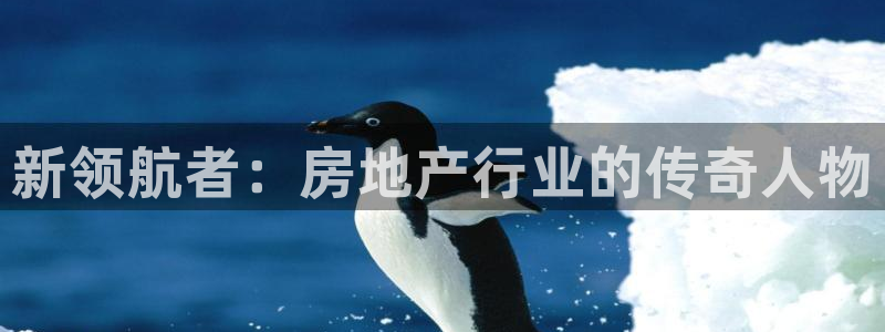新宝5平台登录：新领航者：房地产行业的传奇人物