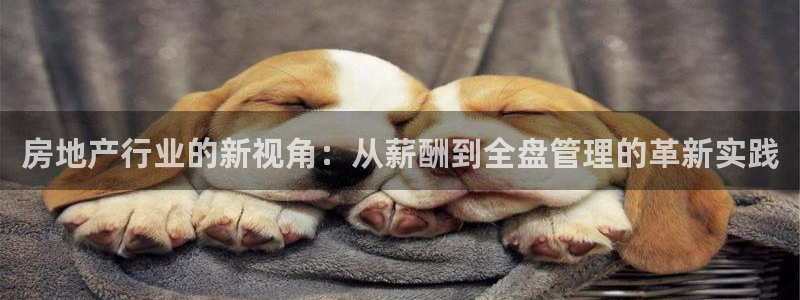 新宝股东瞧听2 5 5：房地产行业的新视角：从薪酬到全盘管理