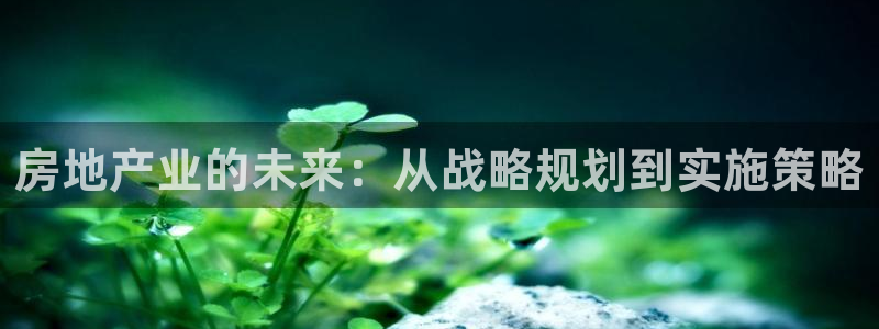 新宝5户端：房地产业的未来：从战略规划到实施策略