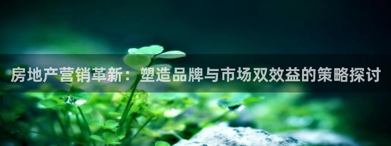 新宝5 代理：房地产营销革新：塑造品牌与市场双效益的策略探讨