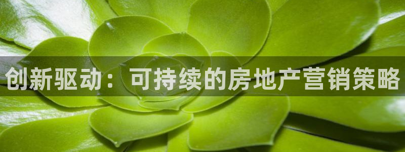新宝5手机版登录：创新驱动：可持续的房地产营销策略