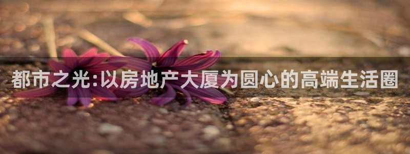 新宝5测登录：都市之光:以房地产大厦为圆心的高端生活圈