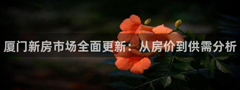 i新宝5：厦门新房市场全面更新：从房价到供需分析