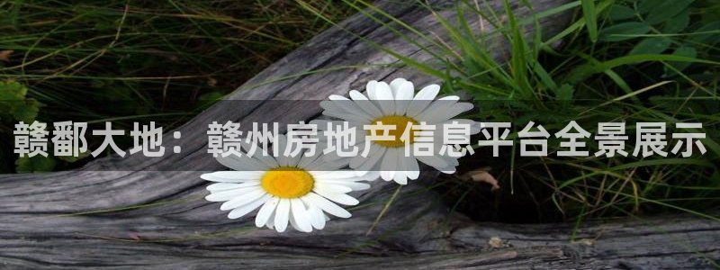 新宝5测：赣鄱大地：赣州房地产信息平台全景展示