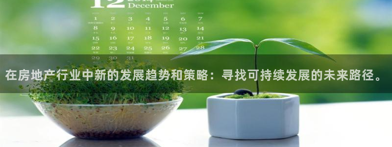 新宝5平台登录：在房地产行业中新的发展趋势和策略：寻找可持续