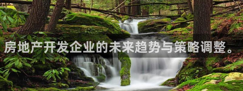 新宝5 888：房地产开发企业的未来趋势与策略调整。