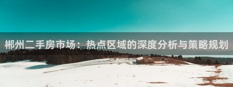 新宝5是什么样子的：郴州二手房市场：热点区域的深度分析与策略
