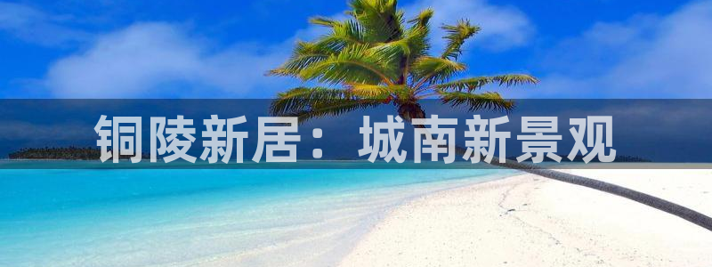 新宝b2O5O5O：铜陵新居：城南新景观