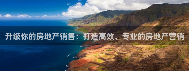 新宝5登录不了：升级你的房地产销售：打造高效、专业的房地产营