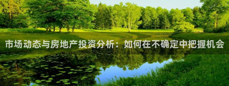 新宝5手机登陆：市场动态与房地产投资分析：如何在不确定中把握