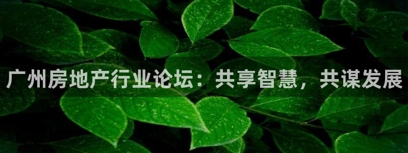 新宝5总代：广州房地产行业论坛：共享智慧，共谋发展