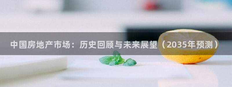 新宝5系列：中国房地产市场：历史回顾与未来展望（2035年预