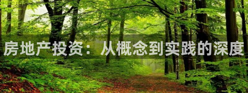 新宝5蒋74OOO5：房地产投资：从概念到实践的深度