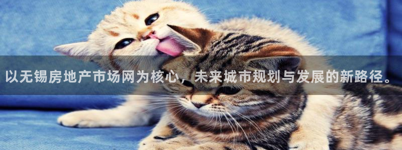 新宝5周74OOO5：以无锡房地产市场网为核心，未来城市规划