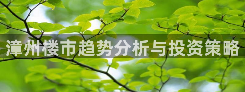 新宝5_测：漳州楼市趋势分析与投资策略