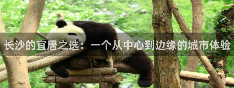皇冠新宝5：长沙的宜居之选：一个从中心到边缘的城市体验
