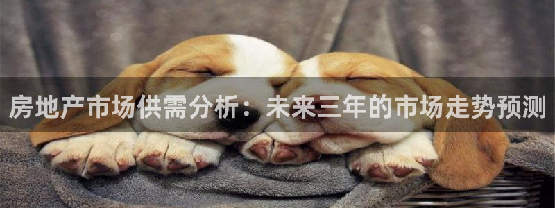 新宝5球维33 300：房地产市场供需分析：未来三年的市场走