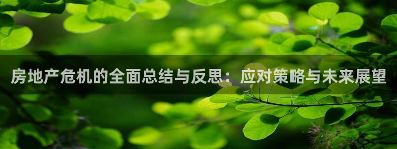 新宝股东张听2 5 5：房地产危机的全面总结与反思：应对策略