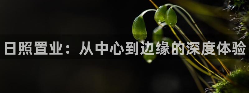 新宝5娱乐主管：日照置业：从中心到边缘的深度体验