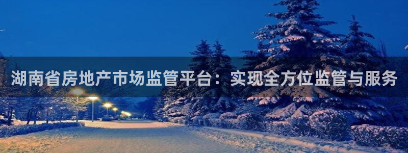 新宝5如何下载：湖南省房地产市场监管平台：实现全方位监管与服