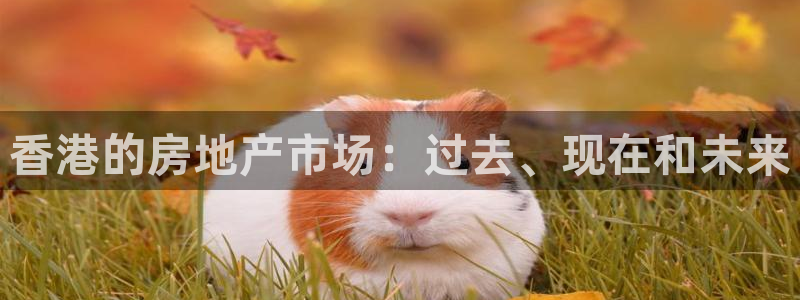 新宝5娱乐都：香港的房地产市场：过去、现在和未来