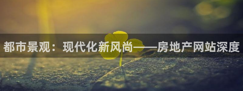 新宝5台卡：都市景观：现代化新风尚——房地产网站深度