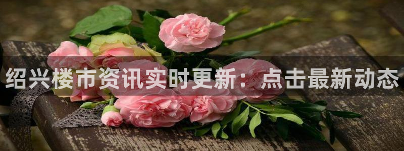 新宝5娱乐平台：绍兴楼市资讯实时更新：点击最新动态