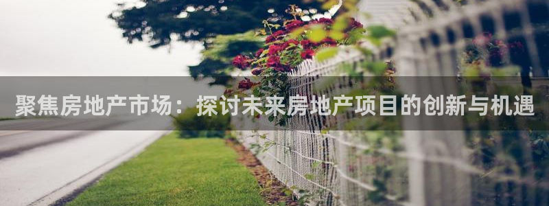 新宝5如何下载：聚焦房地产市场：探讨未来房地产项目的创新与机