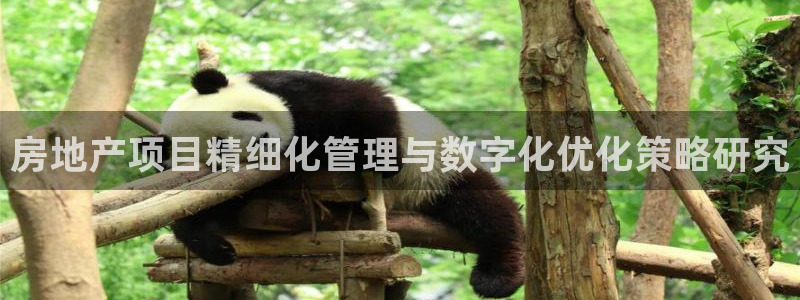新宝5注册测速登录：房地产项目精细化管理与数字化优化策略研究