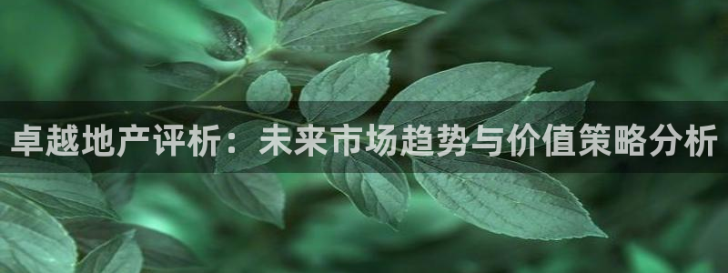 新宝5招商部：卓越地产评析：未来市场趋势与价值策略分析