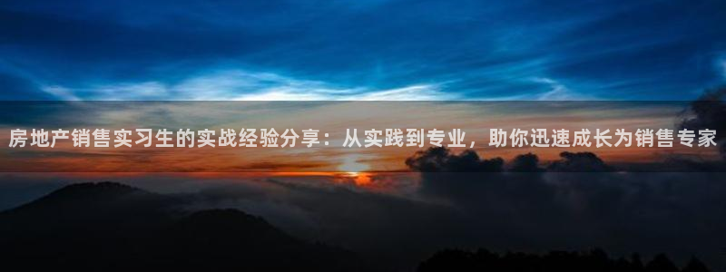 新宝5如何下载：房地产销售实习生的实战经验分享：从实践到专业