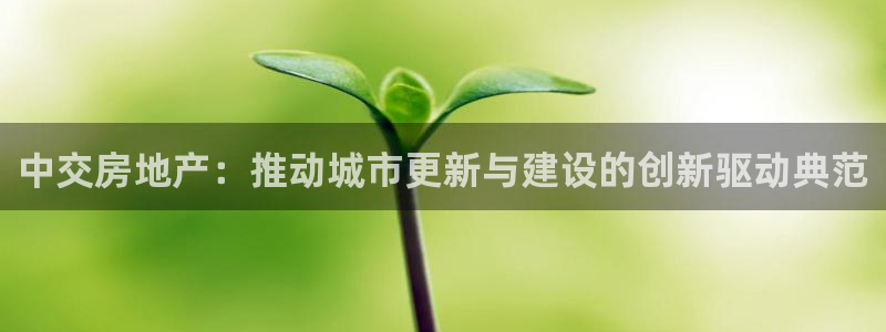 新宝5公司：中交房地产：推动城市更新与建设的创新驱动典范