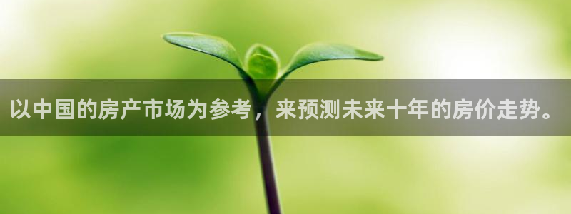 新宝5公司：以中国的房产市场为参考，来预测未来十年的房价走势