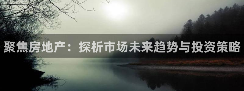 新宝5是什么