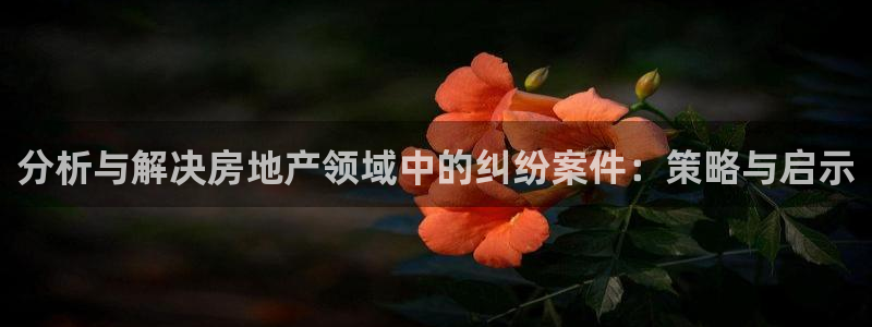 新宝5彩票娱乐平台：分析与解决房地产领域中的纠纷案件：策略与