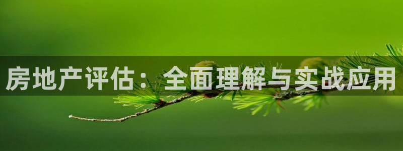 新宝那2O5O5O：房地产评估：全面理解与实战应用