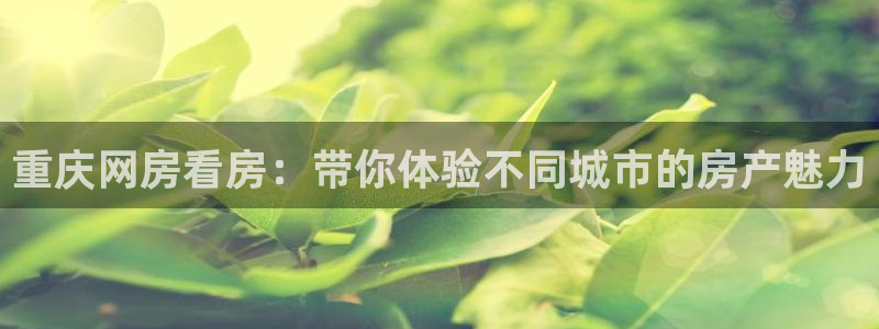 新宝5平棋牌：重庆网房看房：带你体验不同城市的房产魅力