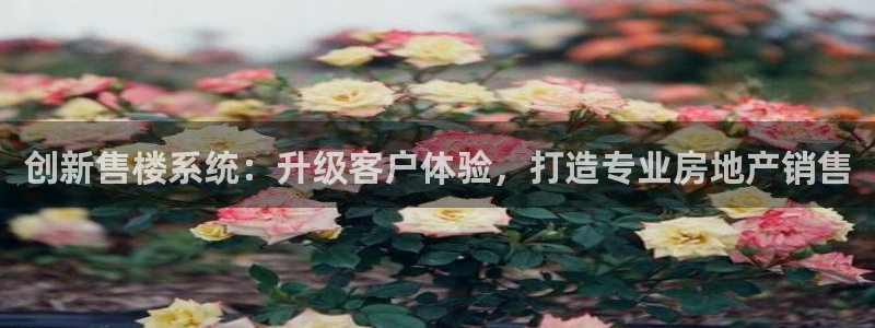 新宝5手机版：创新售楼系统：升级客户体验，打造专业房地产销售