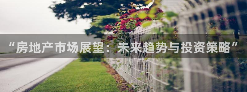 新宝5娱乐平台：“房地产市场展望：未来趋势与投资策略”