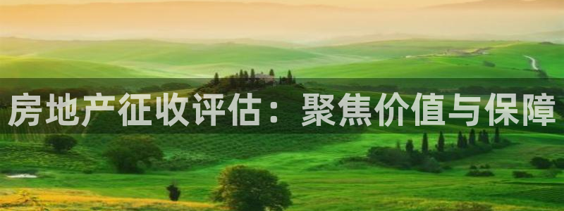 新宝5线路登录：房地产征收评估：聚焦价值与保障
